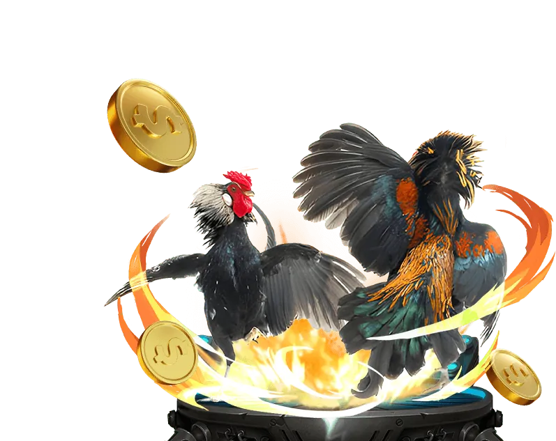 Hoàn trả cược thua OKVIP